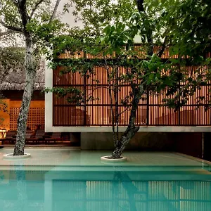 https://jungle-keva-tulum.tulum-hotels.net